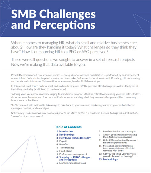 SMB Challenges and Perceptions Report